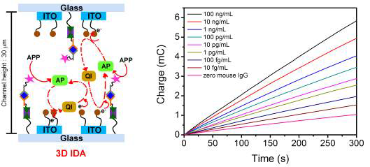 3차원 집적화 전극에 기반을 둔 면역 센서의 개념도(좌) 및 mouse IgG 농도에 따른 시간대전하도(우)