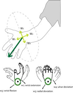 손목 동작에서 의 방향벡터