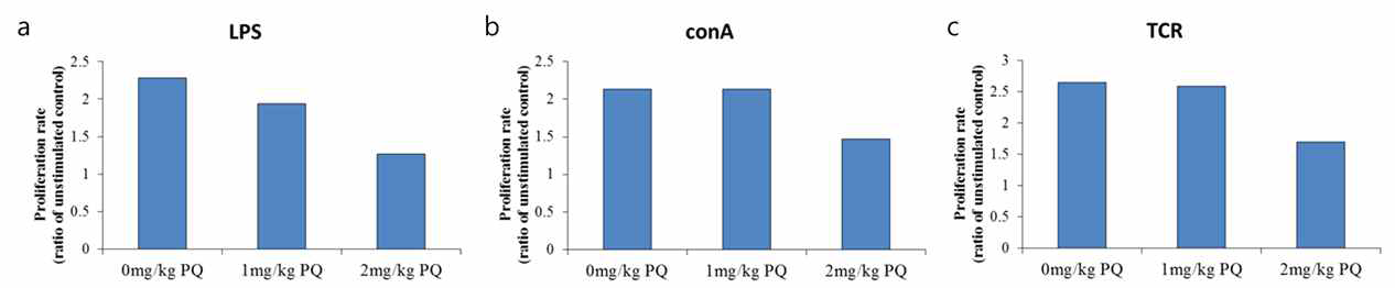 Paraquat 투여가 비장 면역세포의 증식능에 미치는 영향 한 달간 paraquat을 투여하거나 혹은 투여하지 않은 쥐의 비장 면역세포를 취해 각각의 면역자극원들(a. LPS 5μg/mL, b. Concanavalin A 5 μg/mL, c. CD3 항체 2.5 μg/mL로 인한 TCR 자극)과 함께 48 시간 배양한 후 CCK-8 용액을 10 %가 되도록 첨가하여 450 nm에서 흡광도를 측정함. 증식능은 각각의 실험군을 면역자극원 없이 배양한 대조군의 흡광도 값으로 나눈 증식률로 표현하여 평가함