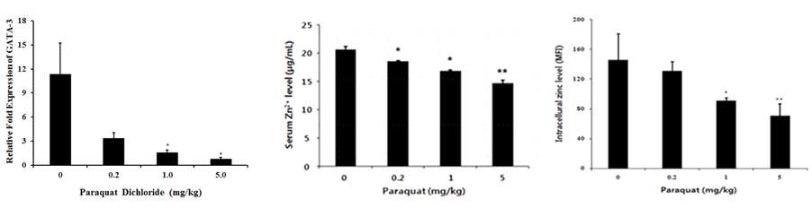 Paraquat 투여에 따른 GATA-3 발현량 변화 및 혈청과 NK 세포내 zinc 이온의 감소 paraquat을 투여한 마우스와 대조군 마우스의 비장에서 GATA-3 의 mRNA level을 quantitative real-time PCR법을 통해 정량함(*p < 0.05). 각 마우스의 혈액을 채취한 뒤, 30 분간 RT 방치 후 원심분리하여 상층액을 취하여 serum을 얻어냄. bioassay system사의 Quntichrome zinc assay kit®를 이용하여 serum내의 zinc level을 정량함. 분리된 비장 세포 중 NK1.1+, CD3- 표현형의 NK 세포에 대해 Fluorzin-3® 발색으로 측정된 intracellular free zinc level를 비교 정량함