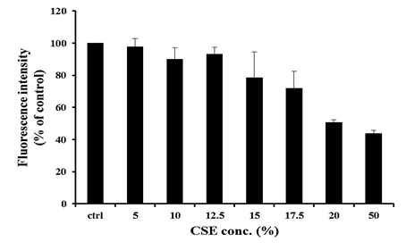 CSE 노출에 의한 폐상피세포주 내 glutathione level 변화 A549 세포주에 CSE를 농도별로 4 시간 동안 처치 한 뒤, 세척 후 5 μM CMFDA으로 30 분 염색 한 뒤 492 nm, 517 nm에서 형광을 측정하여 glutathione 수준을 평가함