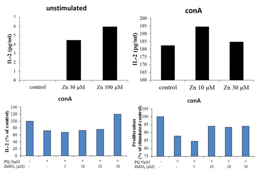 Paraquat에 의해 감소되는 T 세포 증식능의 zinc 투여에 의한 회복 효과 확인 비장 면역세포에 면역자극원(Con A 5μg/mL)과 함께 50 μM paraquat나 ZnSO4를 농도별로 처치 혹은 처치하지 않고, 48 시간 배양 후, 배양액을 취해 ELISA 방법을 이용하여 배양액 중의 IL-2 분비량을 측정함