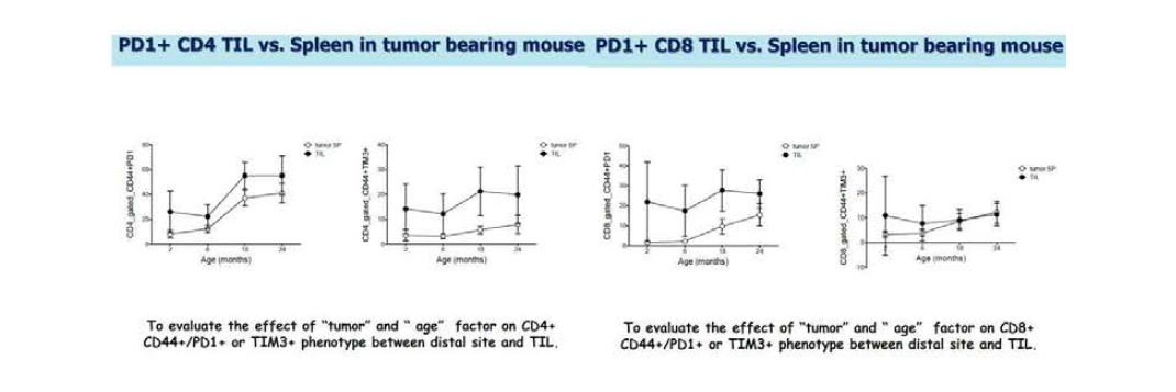 Tumor bearing mouse 의 TIL과 distal site splenocyte에서의 PD-1, TIM3의 발현비교