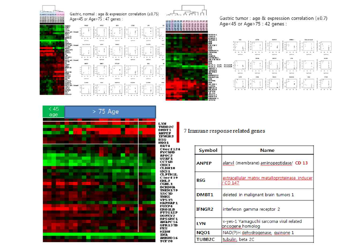 노인 위암에서 연령별 차이나는 유전자 선별 및 면역관련 유전자 확인