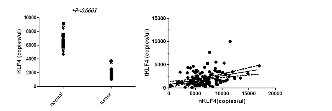 대장암 환자에서 대장 정상 조직과 종양 조직의 KLF4 발현 및 연관성