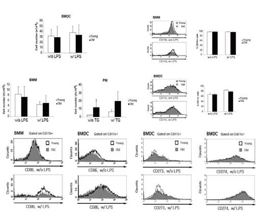미성숙 골수세포를 in vitro에서 GM-CSF, M-CSF 등으로 배양한 후 LPS 또는 Thioglycollate 처 리 유무에 따른 BMDC, BMM, PM의 수와 BMM, BMDC 로의 분화능 및 CD86, CD273, CD274 발현 비교