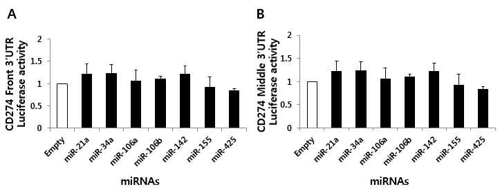 miRNA와 CD274 3’UTR간의 결합 확인