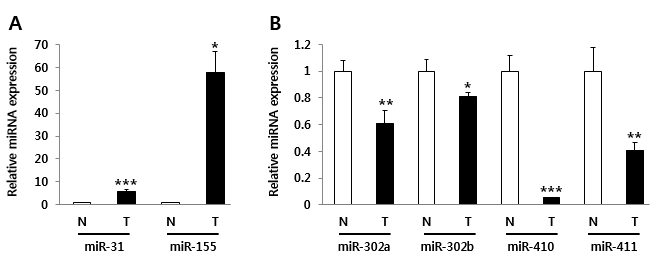 MDSC에서의 miRNA 발현 분석
