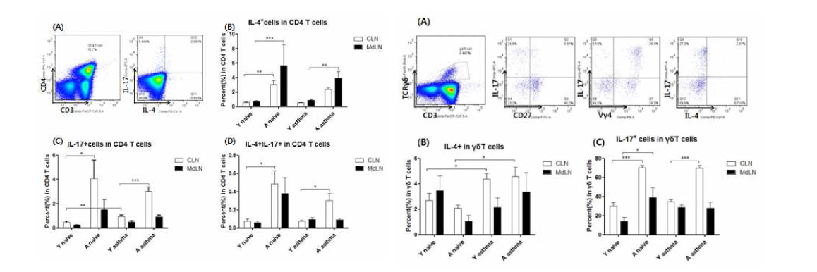 염증성 모델에서 CD4 T 세포와 γδ T 세포의 사이토카인 분비 비교 경부와 종격 림프절을 취하여 Bredfeldin A의 존재 하에서 PMA와 Ionomycin으로 4시간 동안 자 극을 주고, FACS 분석을 통하여 CD4 T 세포(왼쪽)와 γδ T 세포(오른쪽)의 표면 분자와 사이토카인 분비를 확인함