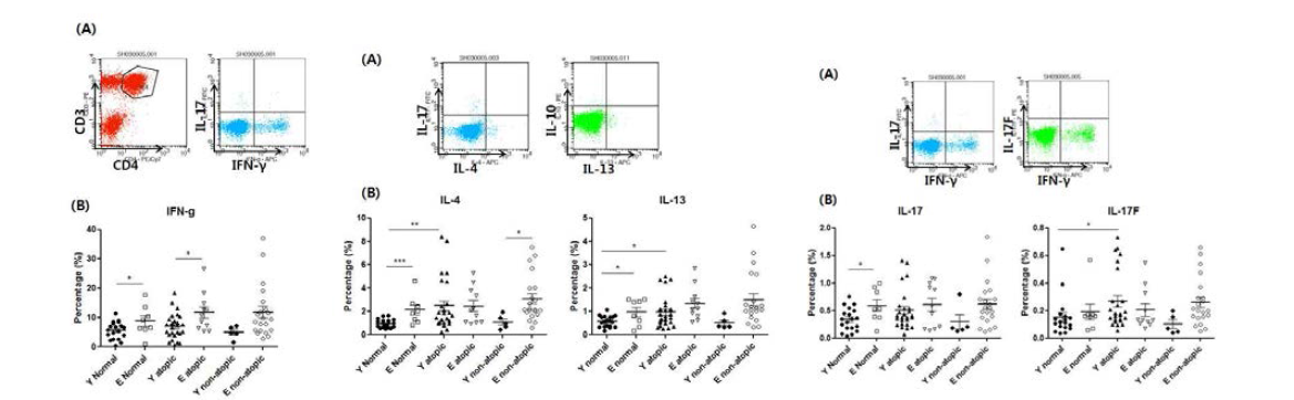 노인 천식 환자의 CD4 T 세포 아형 분석 젊은 성인, 노인 및 천식 환자의 CD4 T 세포 아형을 flow cytometry로 분석함