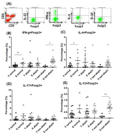 사이토카인 생 성 면역 조절 T 세포의 분포 비율 젊은 성인, 노 인 및 노인 천식 환자의 면역 조절 T 세포 중 IFN-γ, IL-4, IL-17, IL-13을 생성하는 세포의 비율 분석