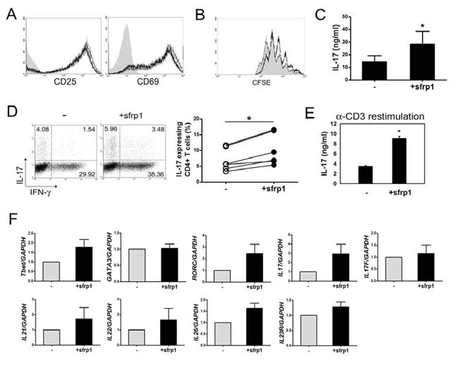 기억 CD4 T 세포의 IL-17 생성에의 sFRP1의 역할 기억 CD4 T 세포가 항 CD3, 항 CD28 항체와 함께 4일 동안 자극을 받음