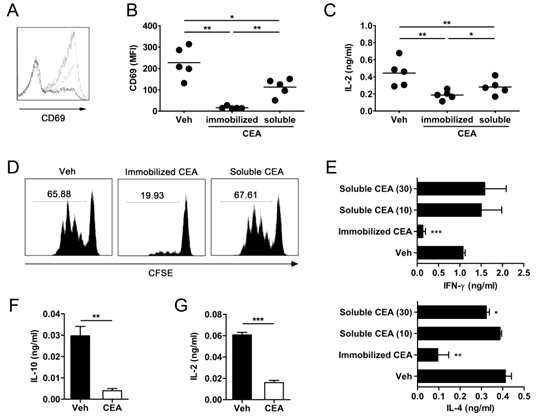 CEA에 의한 사람 CD4 T 세포의 활성 조절 공여자의 혈액에서 얻은 CD4 T 세포를 항-CD3/CD28 시스템의 in vitro 조 건에서 CEA와 함께 20시간 배양하였을 때, 표면 분자와 cytokine 생산을 분석함