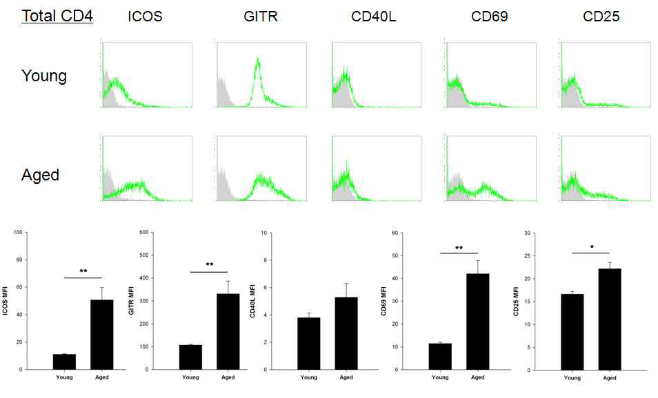 어린 생쥐와 노화 생쥐 CD4+ T 세포의 공자극 분자 발현 비교 어린 생쥐 와 노화 생쥐의 비장 및 임 파절 CD4+ T 세포에서 ICOS, GITR, CD25 표면 분 자와 초기 활성화 마커인 CD69를 관찰함
