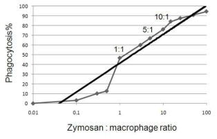 zymosan/macrophage 비율에 따른 탐식작용과의 상관관계