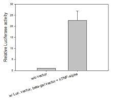 NF-kB로 유도된 Luciferase activity