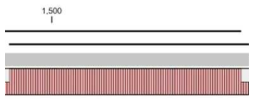 Sequencing 결과