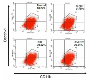 JAWSII에서 천연물에 의한 Dectin-1 발현 변화