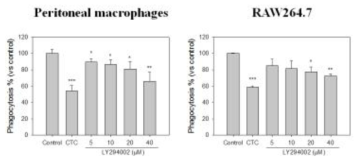 The effect of LY294002 on the phagocytosis of zymosan in macrophages