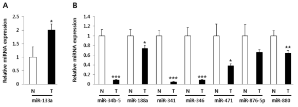 MDSC의 기능변화를 유도할 것으로 예상되는 miRNA의 발현량 변화. MDSC에서