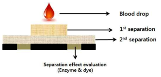 전혈 분리용 멤브레인 스크리닝 및 분리 효율 측정 전략