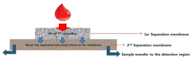 적층형 소재의 혈액전처리 구조 모식도
