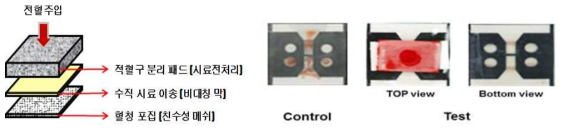 전기와학센서에 적용하기 위한 적층형 센서 전혈 분리 효율 확인