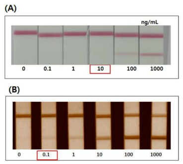 Troponin I 항체에 대한 strip sensor 이미지 비교