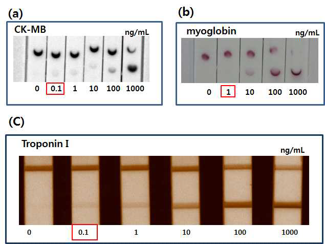 심근경색 3종의 항원에 대한 strip sensor 결과 이미지