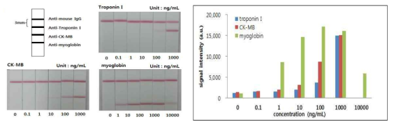 심근경색 마커 3종에 대한 strip sens교차반응성 확인결과