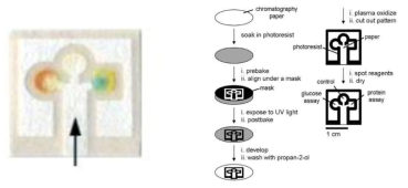 포토리소그래피 공정을 이용한 페이퍼 패터닝 방법과 패터닝된 페이퍼 칩에서의 바이오물질 검출