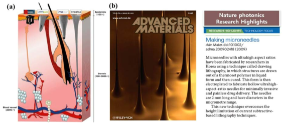 (a) 타 연구소에서 제작되고 있는 마이크로니들과 본 연구실에서 제작된 마이크로니들의 종횡비 대비 피부 관통 모식도; (b) 마이크로니들 제작방법 관련 논문.