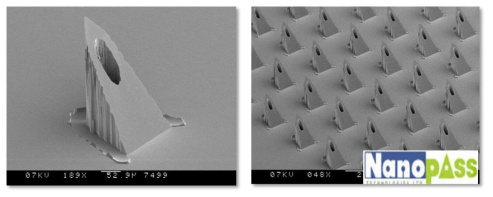 나노패스사의 실리콘 피라미드 마이크로니들.