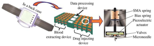 Self Monitoring of Blood Glucose (SMBG)의 개념도.