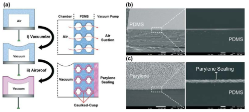 (a) 디바이스에 pre-vacuum활성화 및 파릴렌 코팅 과정 모식도; (b) 및 (c)는 파릴렌 코팅 전과 후의 PDMS표면의 SEM 이미지, 1 μm 두께의 파릴렌 필름 코팅함.