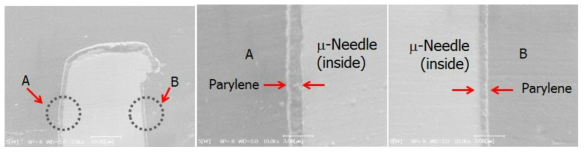 코팅된 마이크로니들 측면(side-view) 내부와 외부 파릴렌박막 증착두께.
