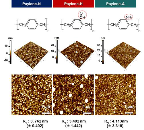 AFM을 사용한 열증착 기능성 파릴렌의 표면거칠기 측정.