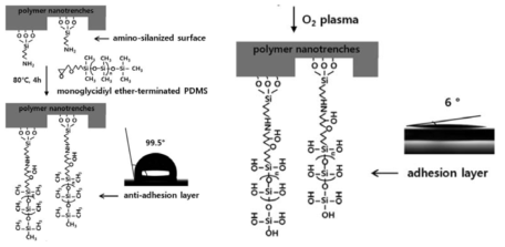 나노구조물 표면에 PDMS를 화학적으로 결합시켜 친수성 유도하는 방법