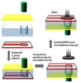 마이크로니들 및 마이크로펌프 장착 과정.