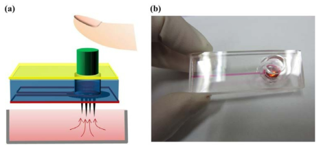 (a) 펌프를 이용해 혈액 및 점도 높은 용액의 채널 내부 이송; (b) 마이크로니들 장착 미세유체소자.