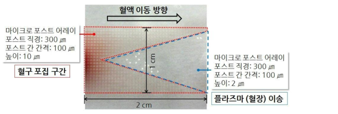 혈구 분리 효율 향상을 위한 마이크로포스트 어레이 필터.