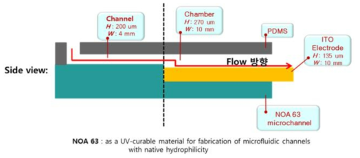 ITO 전극 삽입 후 NOA 63 마이크로플루이딕 시스템 구성도 (측면도).
