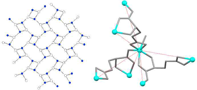 Isocryst diagram of lcy topology in zinc-glutamate-MOF viewed along [100]; and the connection of Zn(II) centre to six other Zn(II) centres via three L-Glutamate units. Turquoise – zinc, grey – glutamate