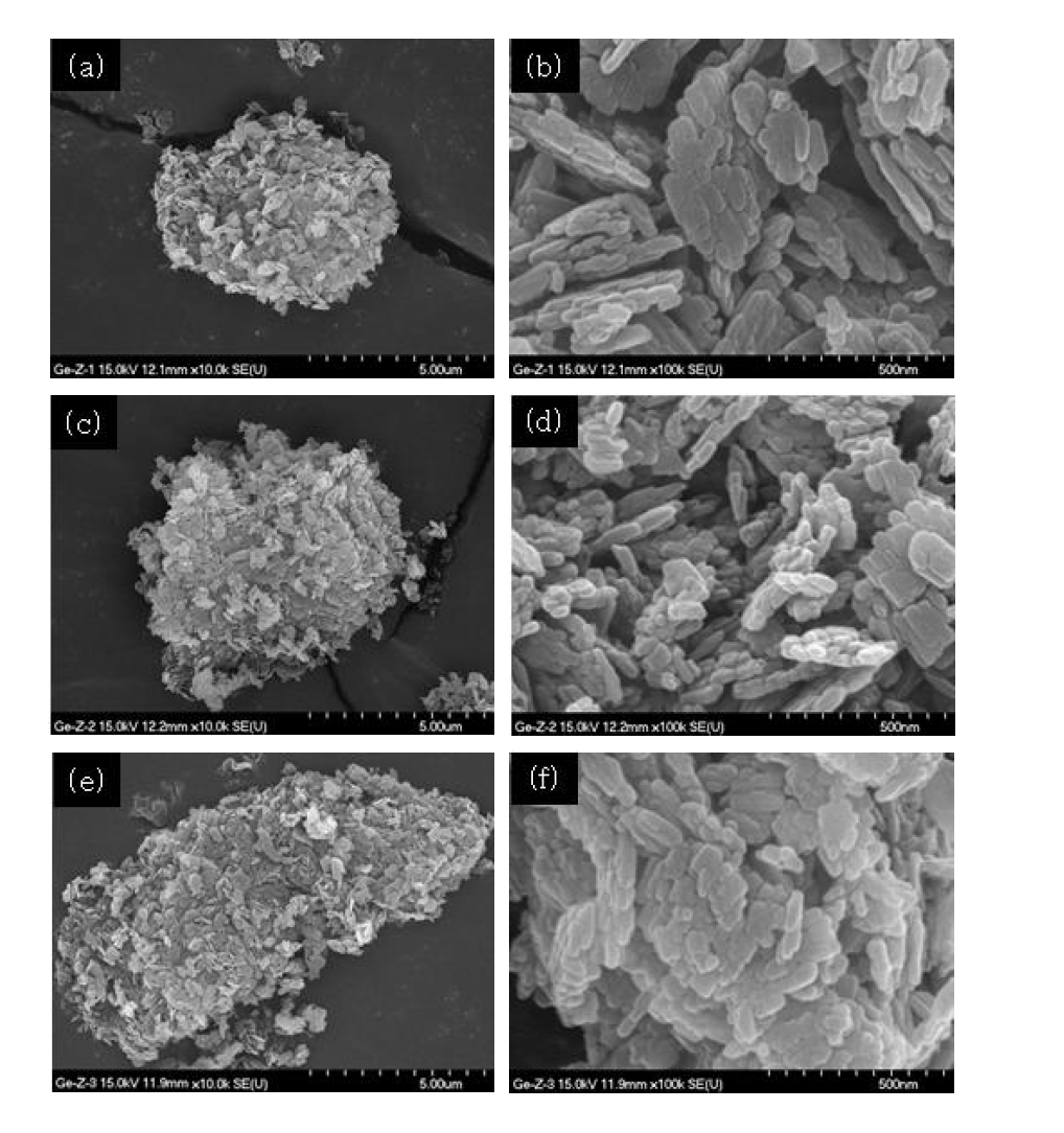 Scanning electron micrographs of adjusting SDA ratio samples