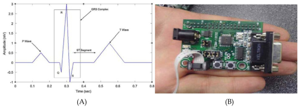 (A) A simulated healthy human ECG with major cardiac waves and segments indicated (B) HCS12 microcontrollerusedin HeartSaver