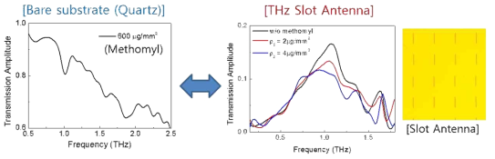Methomyl이 도포된 Slot antenna 구조에서의 THz 투과도 측정