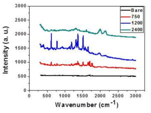 입자 직경에 따른 SERS 스펙트럼의 변화 비교 분석 그래프.
