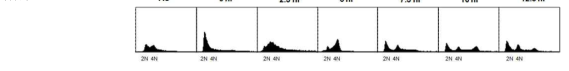 Cell cycle profile assessed by FACS analysis