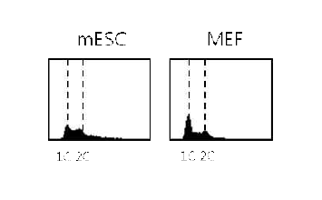 유세포분석기를 이용한 mESC 와 MEF 의 세포주기 패턴분석.