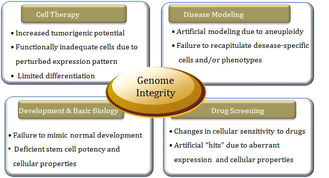 줄기세포응용에 있어서의 Genome Integrity의 중요성